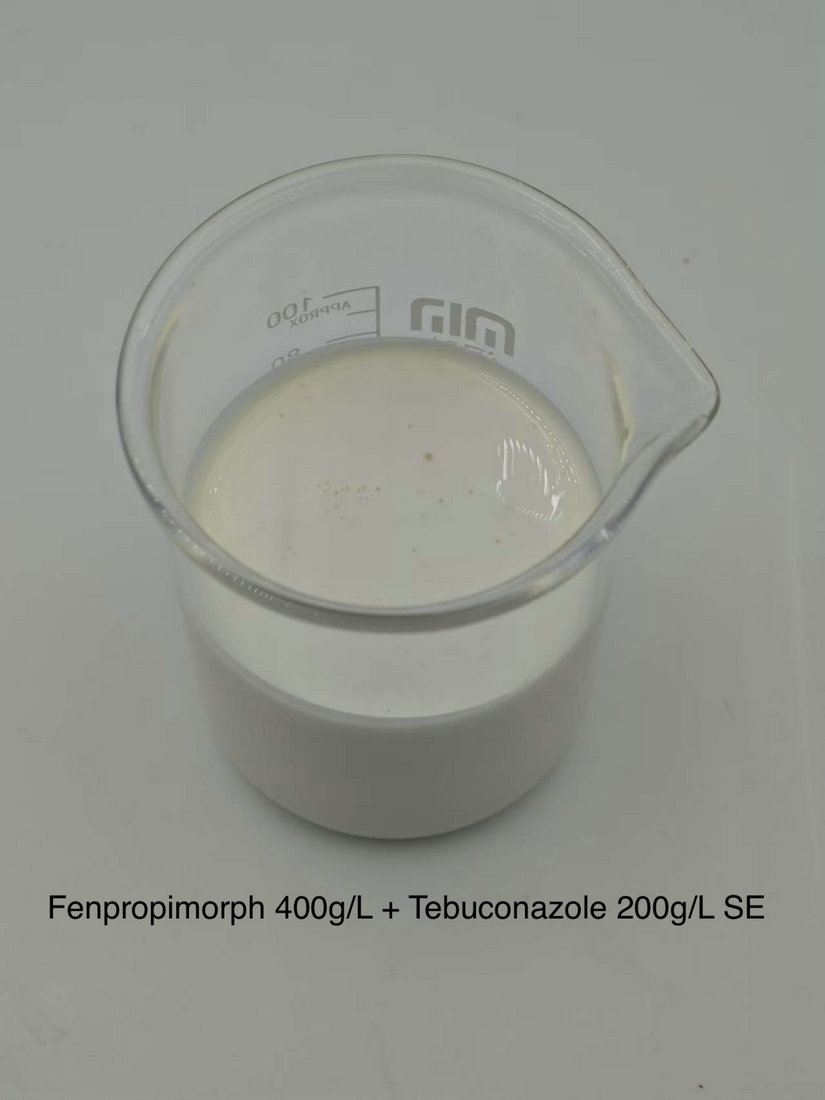 Fenpropimorph 400g/L + Tebuconazole 200g/L SE